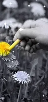 Hand highlighting a yellow dandelion among grayscale flowers.