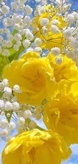 Vibrant yellow flowers with white accents against a blue sky background.