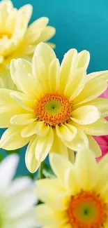 Yellow flowers with turquoise background