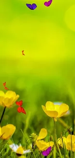 Vibrant yellow flowers on lush green grass in spring.