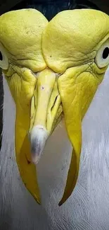 Close-up of a vibrant yellow-plumed bird on a mobile wallpaper.