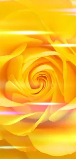 Close-up of a vibrant yellow rose in full bloom, perfect for floral wallpaper.