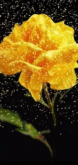 Vibrant yellow rose covered in gold glitter on a black background.