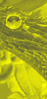 Yellow snake wallpaper with intricate scales design.