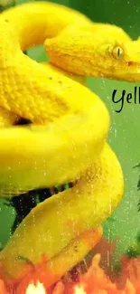 Yellow snake on a green background with a vibrant design.