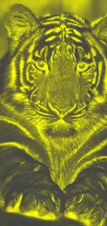 Yellow-tinted tiger staring intently on a mobile wallpaper.