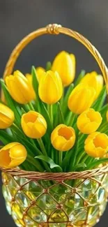 A vibrant basket of yellow tulips for mobile wallpaper.