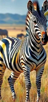 Zebra standing in African savanna with wildlife backdrop.