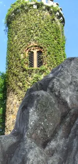 Vine-covered stone tower with blue sky backdrop.