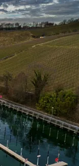 Serene vineyard and lakeside in moody weather.