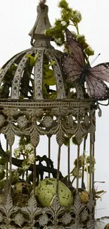 Vintage birdcage with butterfly and eggs decoration.