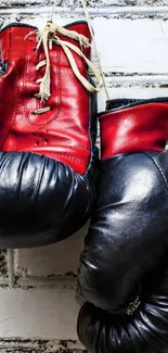 Vintage red and black boxing gloves on a white brick wall.