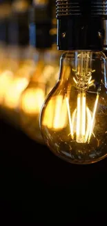 Vintage light bulb glows warmly in classic design wallpaper.