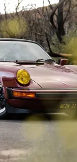 Vintage burgundy car with scenic background.