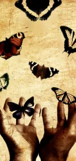 Hands releasing butterflies on vintage background.