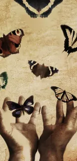 Hands releasing butterflies on vintage brown background.