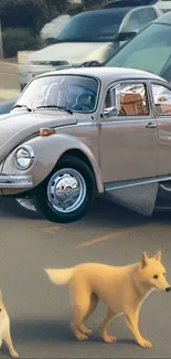 Vintage car and dogs in a parking lot mobile wallpaper.