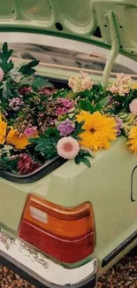 Vintage car trunk filled with colorful flowers.