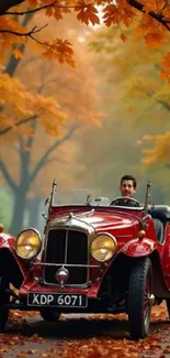Vintage red car driving through fall forest.