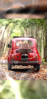 Vintage red car driving through an autumn forest with fallen leaves.