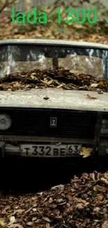 Vintage car surrounded by autumn leaves in a rustic setting.