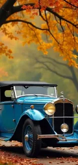 Vintage blue car under autumn leaves.