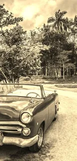 Vintage car driving through lush countryside with monochrome contrast.
