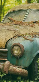 Rusty vintage car amidst lush green forest.