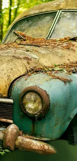 Rusted vintage car surrounded by forest greenery.