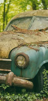 Vintage car covered in moss and leaves in a vibrant forest setting.