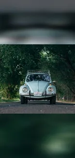 Vintage car on forest road with lush green backdrop.