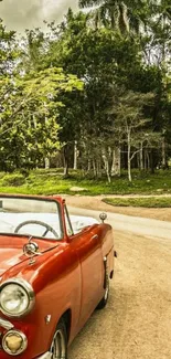 Vintage red convertible on scenic road with trees.