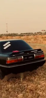 Vintage car in a serene field setting.