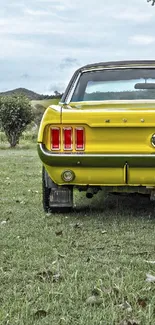 Yellow vintage car in a green field under a cloudy sky.