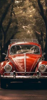 Red vintage car on a forest road, surrounded by trees.