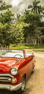 Classic red convertible in tropical greenery landscape.