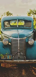 Vintage blue car in lush vineyard setting mobile wallpaper.