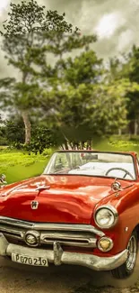 Vintage red convertible car in lush green setting.