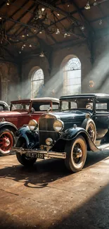 Vintage cars in a sunlit museum setting with rustic charm.