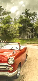 Vintage red car on a scenic road with lush greenery.