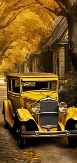 Vintage car on a scenic autumn path with golden leaves.