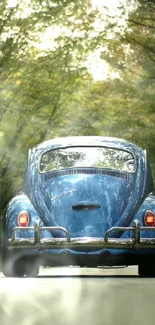 Vintage blue car on a serene forest road driving away.