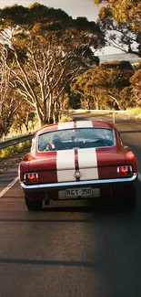 Vintage red car driving down a scenic tree-lined road.