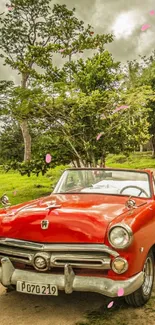 Red vintage convertible on winding road with lush greenery.