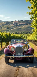 Vintage car drives through lush vineyards under a clear sky.