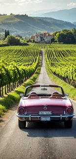 Vintage car driving through lush vineyard landscape.