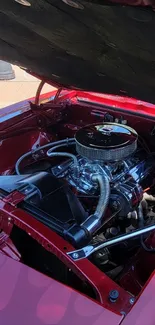 Classic red car with open hood showing engine details on a sunny day.