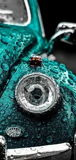 Turquoise vintage car with raindrops on hood.