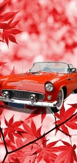 Vintage car surrounded by red leaves.