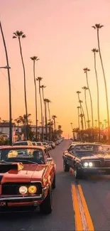 Vintage cars driving at sunset with palm trees and vibrant sky.